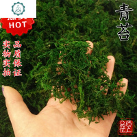 仿真青苔藓 假苔藓 仿真绿植花艺花卉材料 绿植文竹 保鲜青苔 封后仿真植物