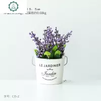 北欧多肉仙人掌盆栽花装饰品网红卧室仿真植物摆件拍照小道具 封后 仙人球盆栽