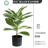 北欧仿真植物盆栽花叶橡皮树室内装饰服装店橱窗大型绿植盆景摆件 封后 花叶橡皮树130cm+三腿铁艺黑