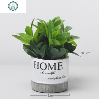 北欧客厅室内创意水泥盆仿真绿植物装饰仙人掌仙人柱盆景盆栽摆设 封后 小圆盆西瓜叶仿真植物