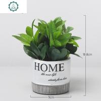 北欧客厅室内创意水泥盆仿真绿植物装饰仙人掌仙人柱盆景盆栽摆设 封后 金钱树仿真植物