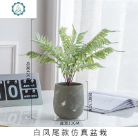 北欧仿真植物盆栽绿植客厅摆件ins风卧室内装饰品龟背叶假盆景 封后 蕨草款仿真盆栽