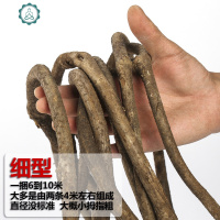 树藤枯藤管道婚庆装饰红山藤仿真藤条枝藤蔓叶花藤绿植树干假植物 封后 精品加粗型(加长型)仿真植物