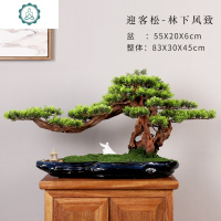客厅迎客松盆栽摆设室内大型仿真绿植假花植物松柏树盆景装饰摆件 封后 彩松-林下风致[描金盆]仿真植物