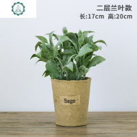 仿真植物假植物绿植室内外装饰小清新盆栽小绿萝盆栽仿真花植物 封后 雅山玫款