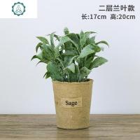 仿真植物假植物绿植室内外装饰小清新盆栽小绿萝盆栽仿真花植物 封后 二层兰叶款