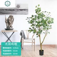 北欧ins风仿真尤加利叶大树假植物落地盆栽桉树盆景绿植摆件 封后 1.55米尤加利送藤编篮仿真植物