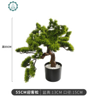 新中式大型仿真创意假树迎客松盆景植物摆设室内落地装饰绿植摆件 封后 70CM迎客松仿真植物