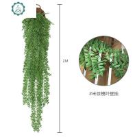 仿真叶子壁挂假花藤条客厅阳台墙面遮挡植物装饰墙壁藤蔓绿植树叶 封后 2米豆槐叶子壁挂(不含篮)仿真植物