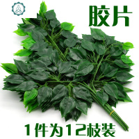 仿真榕树叶红枫叶工程装饰假榕树枝过胶绿植树叶塑料银杏叶子植物 封后 白色榕树枝[12枝装]仿真植物