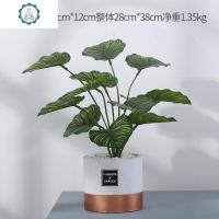北欧仿真植物装饰龟背竹绿植盆栽室内网红盆景客厅摆件陶瓷盆套装 封后 圆白盆-3/杨叶