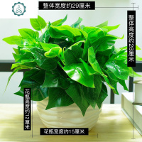 仿真植物套装摆件绿植小盆栽装饰花艺塑料假花假绿萝仿真花客厅 封后 紫色吉祥果+陶瓷高温褶皱花瓶