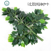 仿真榕树叶枫叶桦树叶过胶榕树枝绿色植物假叶子工程树藤造景装饰 封后 白边过胶榕树叶仿真植物