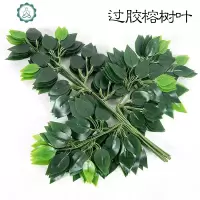仿真榕树叶枫叶桦树叶过胶榕树枝绿色植物假叶子工程树藤造景装饰 封后 过胶桦树叶-秋款仿真植物