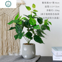 北欧盆栽仿真植物多肉假绿植装饰客厅室内龟背叶网红ins盆景摆件 封后 方黑盆3/杨叶[陶瓷盆底]