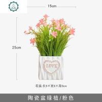 仿真植物装饰北欧绿植室内盆栽客厅摆件塑料假花多肉小盆景摆设 封后 陶瓷盆绿植/粉色