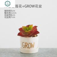 北欧仿真绿植物多肉假花小盆栽仿真花摆件创意客厅办公餐桌面摆设 封后 红色雪莲花+GROW花盆仿真植物