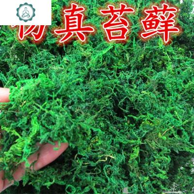 仿真苔藓干假苔藓植物微景观假花铺面盆景盆栽绿植装饰品表面 封后 100克+5个小蘑菇颜色随机发仿真植物