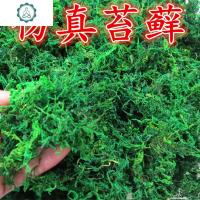 仿真苔藓干假苔藓植物微景观假花铺面盆景盆栽绿植装饰品表面 封后 400克青苔仿真植物