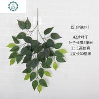 仿真金榕树叶榕树绿色植物叶子假红包树室内装饰情叶榕高品质绿植 封后 绿色12支丝印叶仿真植物