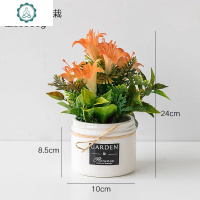 仿真绿植假花盆栽北欧ins风创意植物盆景室内客厅装饰小摆件盆栽 封后 红色君子兰仿真植物