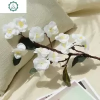 仿真梅花枝樱花花枝客厅腊梅假花禅意陶瓷花瓶插花摆放装饰品 封后 白色(一枝价)仿真植物