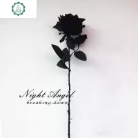 暗夜玫瑰 - 黑色玫瑰花 拍照道具仿真花 暗黑萝莉日系哥特风假花 封后 白+暗红各一朵仿真植物