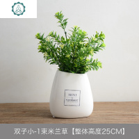 仿真花假植物盆景多肉小盆栽摆件家居客厅茶几室内摆设绿植INS 封后 双子小[标]-1支仙人柱仿真植物