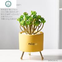 北欧ins风仿真多肉植物装饰小摆件 创意客厅办公桌面假花绿植盆栽 封后 [桔黄色]仿真34头石莲仿真植物