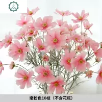 格桑花小波斯菊假花仿真花客厅装饰花电视柜餐桌花10枝装 封后 白色5枝+桔色5枝+橄榄枝3枝仿真植物