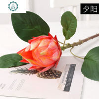 新款植毛帝王花仿真花非洲国花 客厅酒店样板间插花摆件 封后 粉红色仿真植物