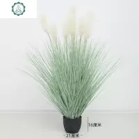 北欧风室内绿植仿真芦苇花狗尾盆栽客厅服装店装饰品摆件花橱窗 封后 雾面11头芦苇盆栽高1.3米展开宽1.1米仿真植物