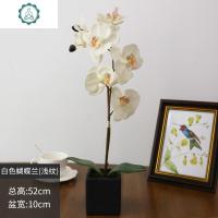 仿真蝴蝶兰仿真花客厅装饰花摆件餐桌摆设花卉塑料假花盆栽手工花 封后 白色蝴蝶兰(单支)仿真植物