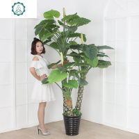 假树仿真植物室内装饰大型滴水观音绿植盆栽客厅塑料假花落地盆景 封后 2.5米超级滴水观音+特大盆+草