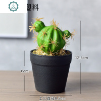 仿真仙人掌多肉盆栽客厅假花绿植盆景装饰品摆件办公室桌面 封后 好运果/黄+ins水泥盆仿真植物