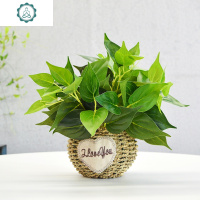 仿真植物假绿植绿萝万年青客厅室内装饰圆形篮小盆栽塑料花摆件 封后 双耳篮+绿萝叶+长须