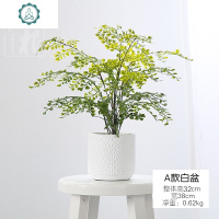 北欧创意家居饰品仿真绿植摆件 室内办公装饰花多肉植物盆景盆栽 封后 E款黑盆