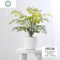 北欧创意家居饰品仿真绿植摆件 室内办公装饰花多肉植物盆景盆栽 封后 A款白盆仿真植物