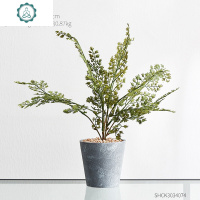 北欧绿植仿真龟背叶假花装饰小盆栽假盆景植物客厅办公室桌面摆件 封后 小方盆-步步高芦荟仿真植物