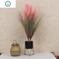 北欧芦苇仿真花铁艺花架狗尾假花客厅橱窗落地装饰绿植摆件 封后 两支大号芦苇草+白色花架仿真植物