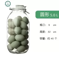 腌蛋玻璃密封罐食品级家用腌制罐菜坛子手提咸鸭蛋容器鸡鹅蛋 封后 [时尚款]装40个左右鸭蛋