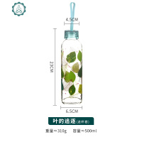 玻璃杯创意印花耐热花茶杯大容量带盖带把便携随手杯水杯 封后 叶的追逐