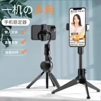 火豹手机直播支架三脚架可落地式桌面多功能通用蓝牙自拍杆网红抖音主播户外直播设备 直播支架[伸缩款]蓝牙自拍器+m手机座