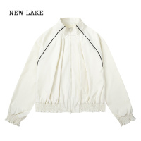 NEW LAKE复古设计感线条立领冲锋衣外套女春秋2024新款早秋小众短款夹克潮
