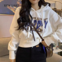 NEW LAKE小众设计感连帽宽松短款卫衣外套女2024春秋新款显瘦百褶裙两件套