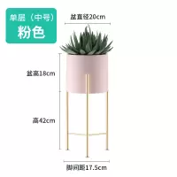 皇豹北欧铁艺花架置物架室内客厅简约轻奢花架子阳台绿萝花盆架落地式
