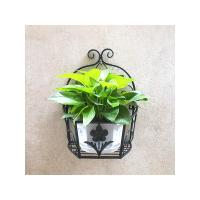 皇豹阳台壁挂式花架 挂壁 挂墙上 墙壁墙面花盆架子 绿萝花篮架免打孔