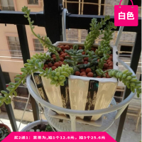 皇豹{买2送1}加粗网版欧式阳台栏杆花架悬挂式铁艺吊兰绿萝多肉花盆架