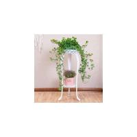 皇豹放绿萝的花架客厅 单个 高摆放花盆的架子单层落地简约家用吊篮架