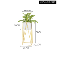 皇豹北欧简约铁艺花架子室内客厅落地式花架置物架阳台绿萝花盆植物架花架